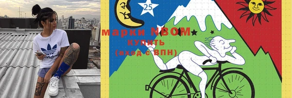PSILOCYBIN Кодинск