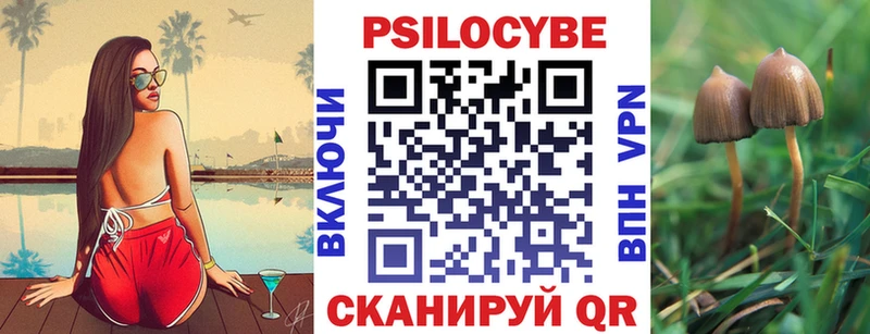 ОМГ ОМГ как зайти  купить   Вольск  Галлюциногенные грибы Psilocybe 
