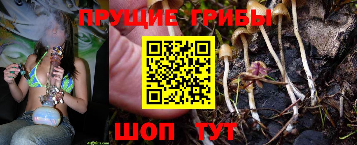 Галлюциногенные грибы Psilocybe  Вольск  Галлюциногенные грибы Magic Shrooms 
