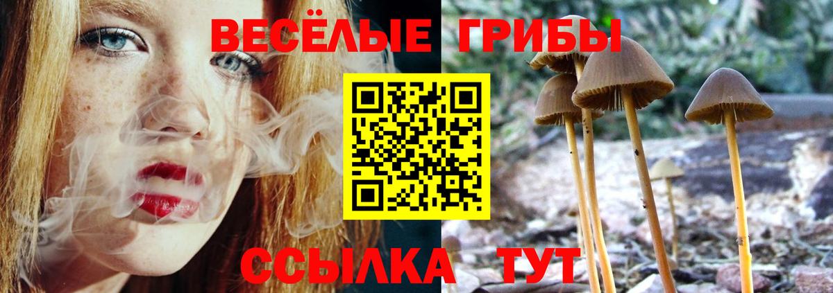 Галлюциногенные грибы мицелий Вольск