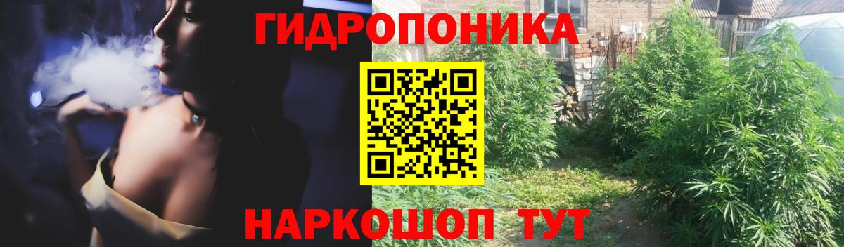 Бошки марихуана тримм  Каннабис VHQ  Вход с VPN  Вольск  Марихуана гибрид 
